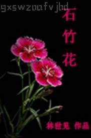深愛影音先鋒