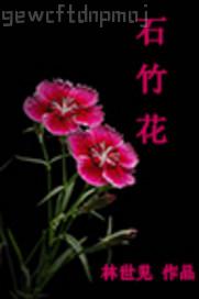 ڻҴ(zhn)