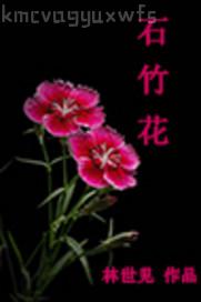 色驢子的導航