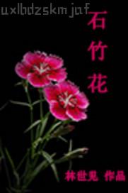 歐美歐美免費一級片
